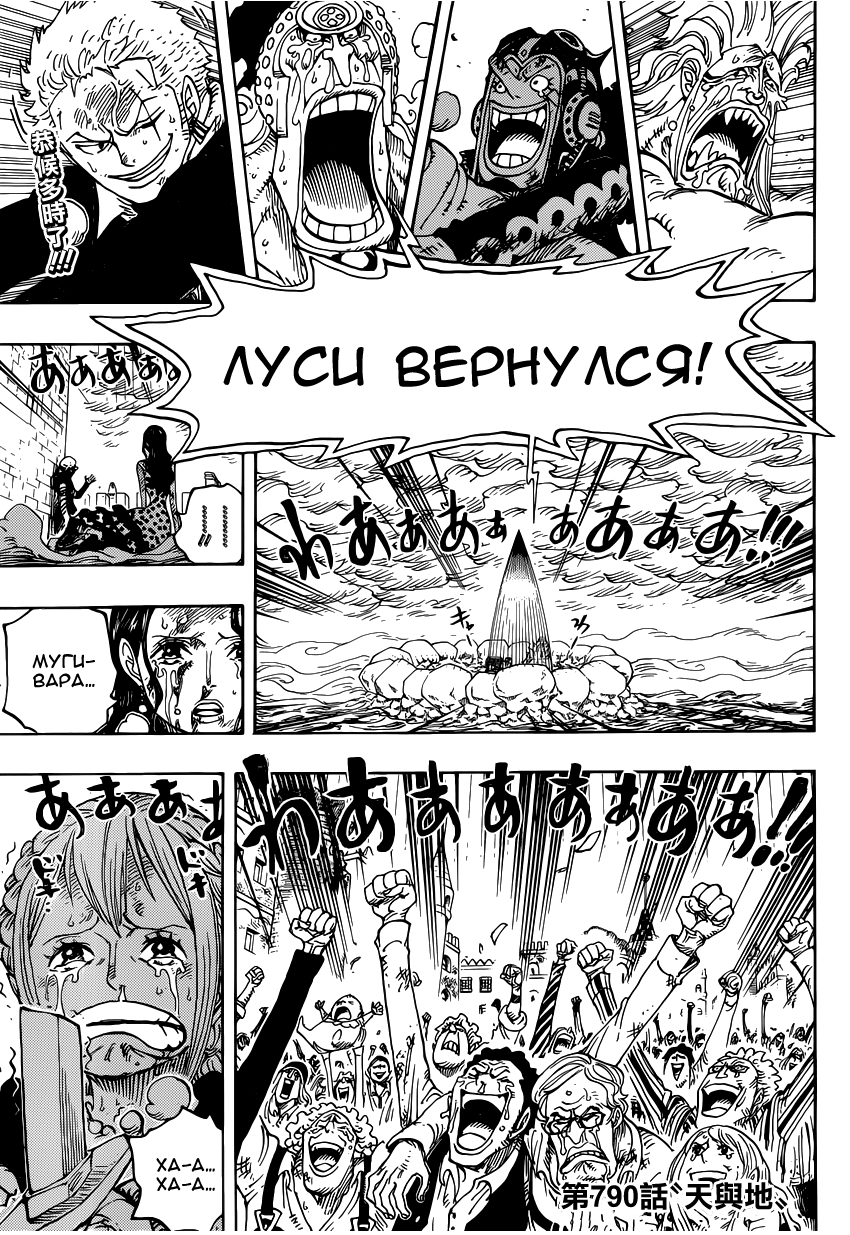 One piece chapter 790