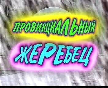 Провинциальный жеребец