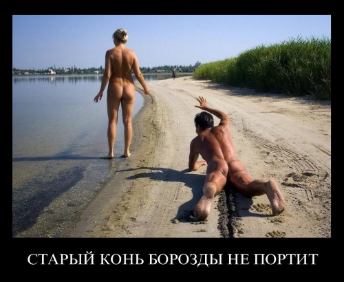Старая школа