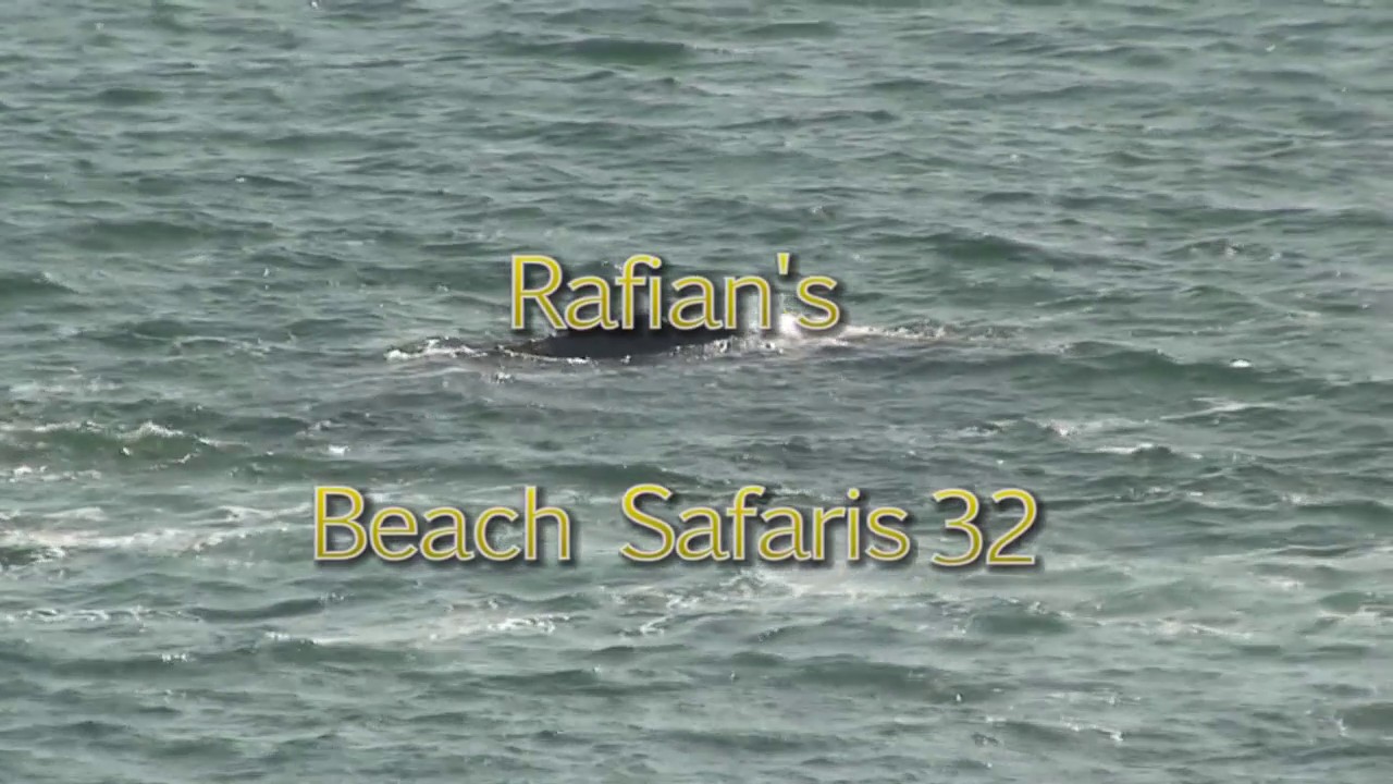 Rafian s Beach Safaris #32 HD